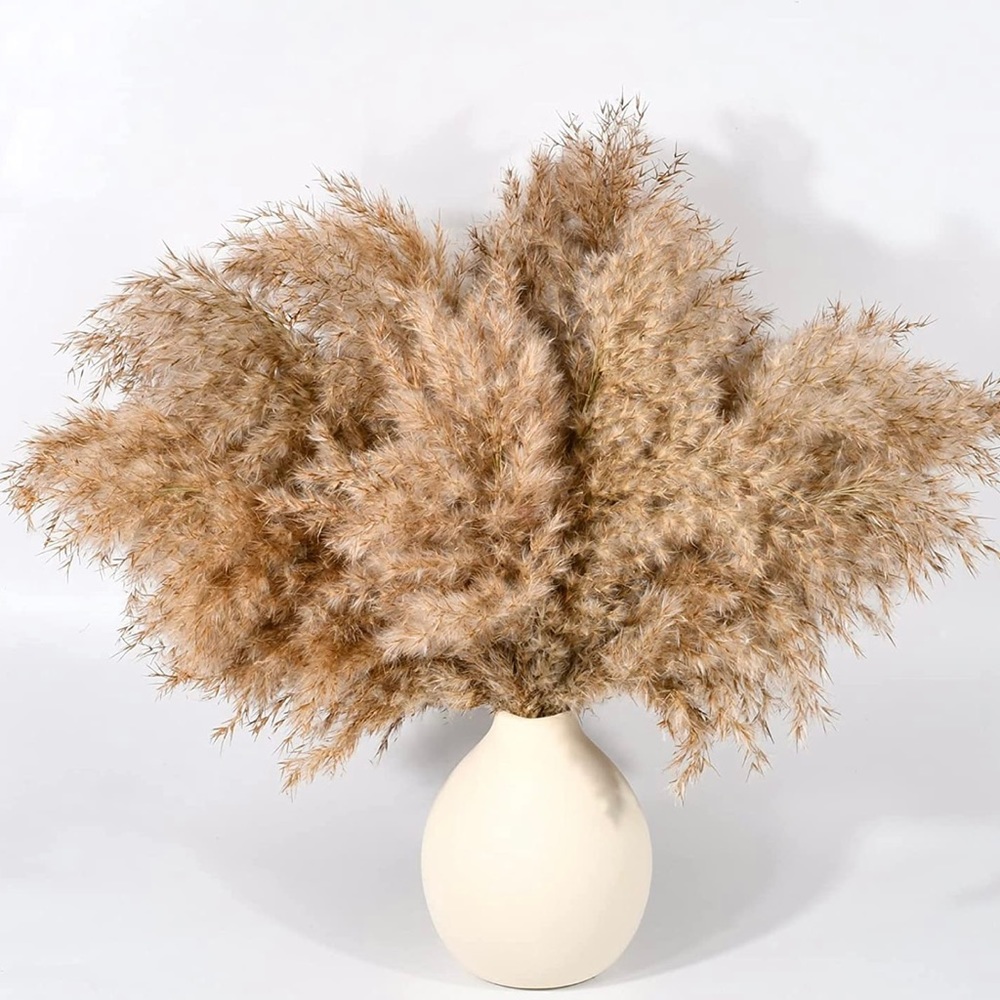 New Box of Pampas Grass